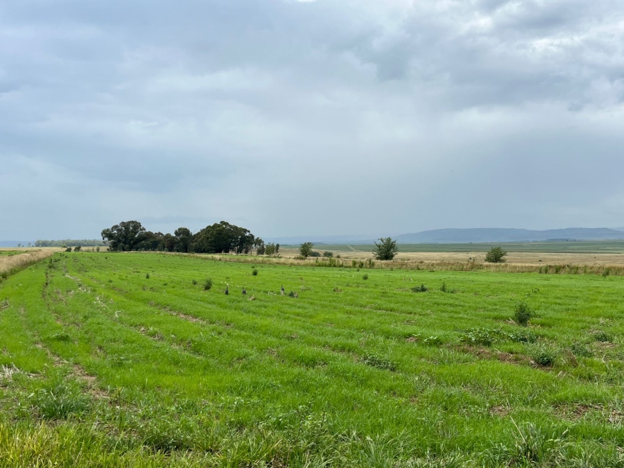 6 Bedroom Property for Sale in Ladybrand Rural Free State